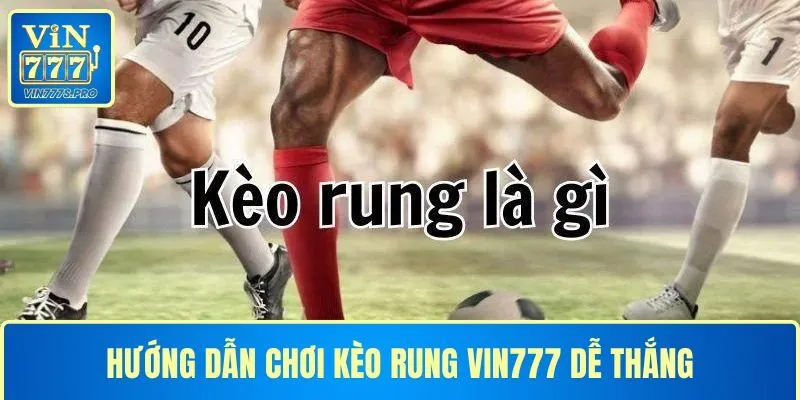 KÈO RUNG VÀ HƯỚNG DẪN CHƠI KÈO RUNG DỄ THẮNG CHO CƯỢC THỦ 10 HƯỚNG DẪN CHƠI KÈO RUNG VIN777 DỄ THẮNG