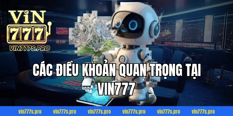 ĐIỀU KHOẢN VÀ ĐIỀU KIỆN TẠI VIN777 MÀ HỘI VIÊN CẦN NẮM RÕ 2 Các điều khoản quan trọng tại VIN777